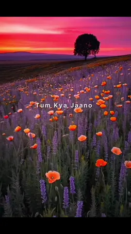 Yaar badal na jaana mausam ki tarah..🥺💕💕 #foryou #fyp #hindisong #fyy #lovesong ❤️❤️❤️❤️🥺🥺🥺