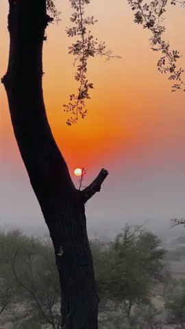 مونږ له هم ستا پشانتې سترګې بدلول رازې - #welovetosmile #naturalvibes #forupage #villegelife #newaccount 