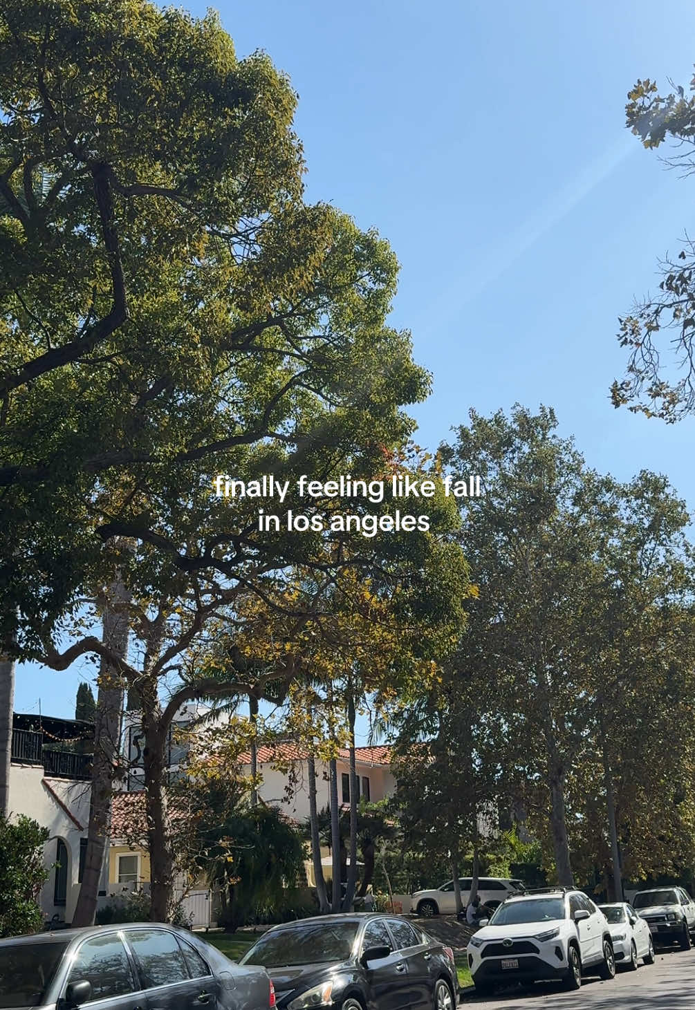 the trees are giving fall but it’s like 90 degrees today 🥲