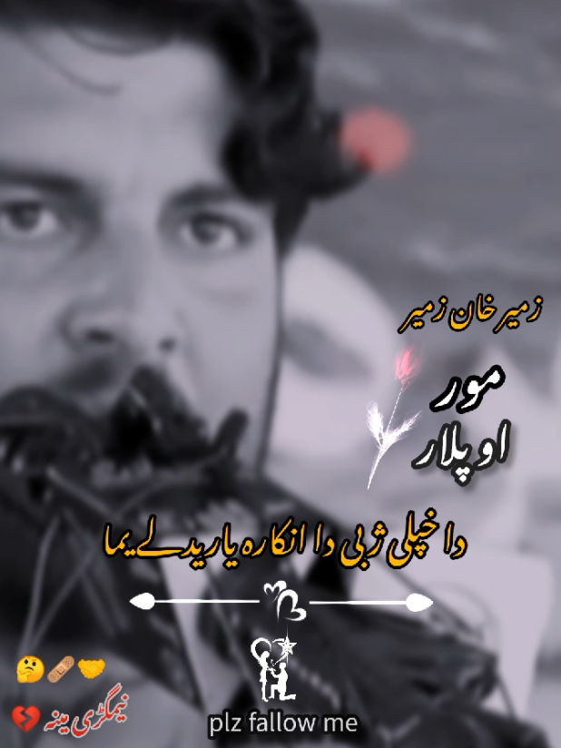 #foryoupage❤️❤️ #poshtopoetry #vairalvadio #plztiktokteamviralmyvideoplzzz😭😭 #fyp 