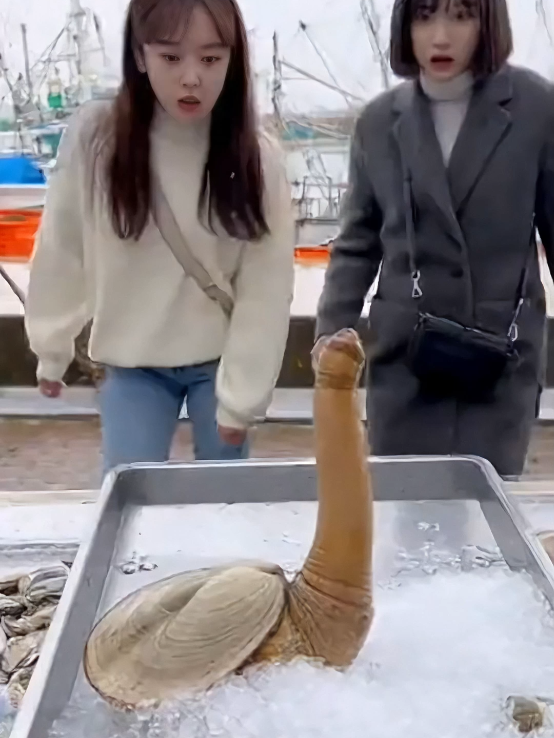 🚨경악주의🚨 살아있는 코끼리조개 만지려다가 얼굴에 물 맞는 썰ㅋㅋㅋㅋㅋ 폰 캠으로 담은 경악 순간! 😱 수산시장에서 신기해서 쳐다보다가 코끼리조개 물총 맞았어요ㅋㅋㅋ 조개들아... 너희도 살아있었구나...?😭  ✨이 영상은  AI 영상 모델, Sora2를 활용하여 제작되었습니다.  #Shorts 에서 만나는 AI 영상의 미래! #Shorts #쇼츠 #코끼리조개 #수산시장 #해산물 #꿀잼 #웃긴영상 #경악 #Sora2 #AIVideo #funny #memes