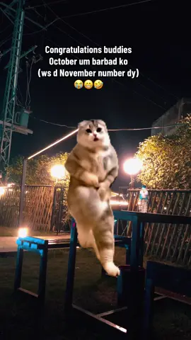 Mubarak shye 🤌🏻😁