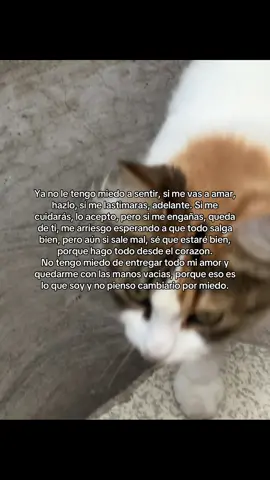 #fyp #fypシ゚ #sentir #amar #corazon 