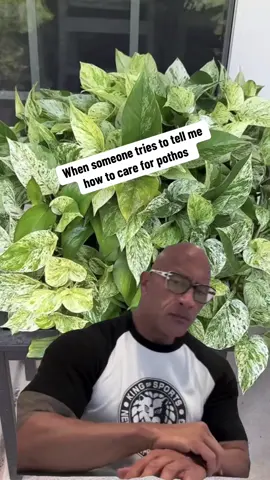🤪🤪🤪🤪 #PlantTok #plantsoftiktok #houseplants #pothos 
