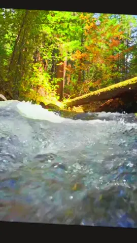 #ياالله #يارب 