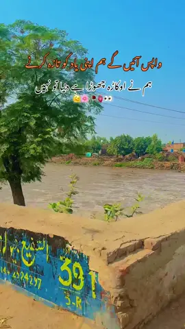 Okara 🩶🌸 #fyp #foryou #viralvideo #okara #trending 