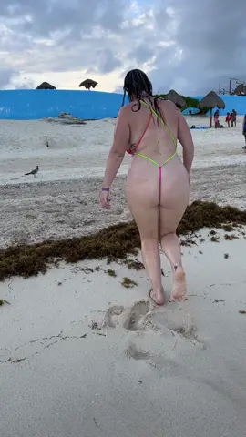 This cute little seagull waited so long for me to come out of the water over the seaweed. Love the birds at Beach/Playa Delfines #mexico #cancun #animals #bikini #beautiful 