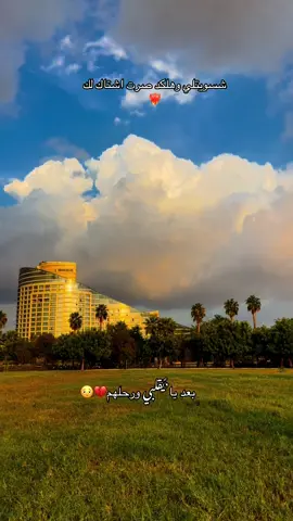 😩👌🏻#عبودي_الشرابي #تصويري_احترافي_الاجواء👌🏻🕊 #اضنة_اليامشلي 