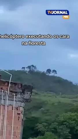 #creatorsearchinsights 