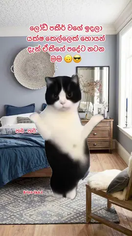 අපි අසරණ වෙලා වගේ හිතට දැනෙනවා😖#foryou #everyone #CapCut 