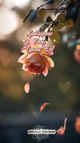 #қайырлытаң #қайырлыкүн#таншуағы #recommendations 