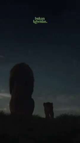 “Who Is Allah?” One question that opened the sky. 🌌 Sometimes the simplest “why” leads you closer to the truth — not because you find the answer, but because you start to see. #amrouz #inspirational #LifeLessons #bukankebetulan 