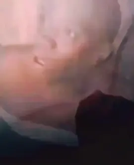 اخر كلام قبل ان يفارق الحياة 🔥 شاب سوداني يشرح معنى الشهادة بكلمات تهز القلوب 🕊️  #الشهادة #InspirationByWords #السودان #ذكر_الله #موعظة           