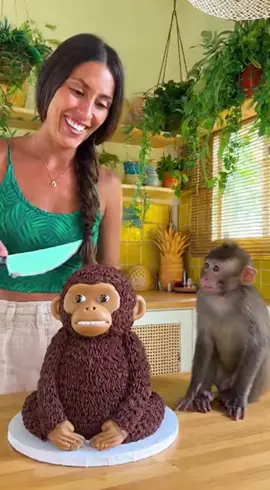 Monkey Freaks Out Seeing Cake Lookalike! 😲🐒🎂 #ViralShorts #FunnyAnimals #MonkeyComedy 