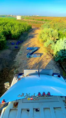 #تصويري_احترافي_الاجواء👌🏻🕊😴 