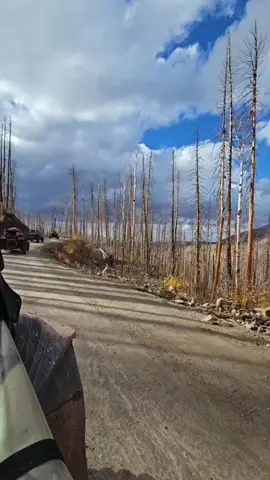 @Robert @Angie @Coal Country Offroad @zippysly 