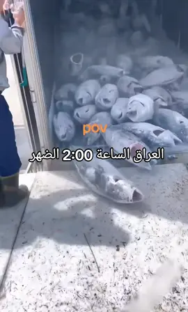 #pov #العراق #الساعة #2 #الضهر 