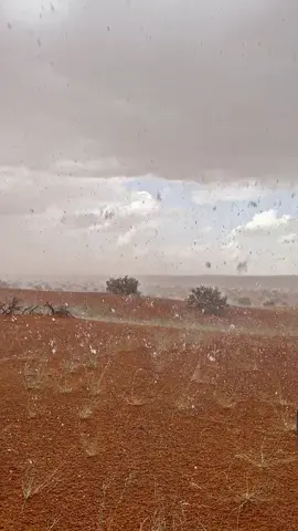 #مطر #الشتاء #اكسبلور #طلعات_البر #تصويري 