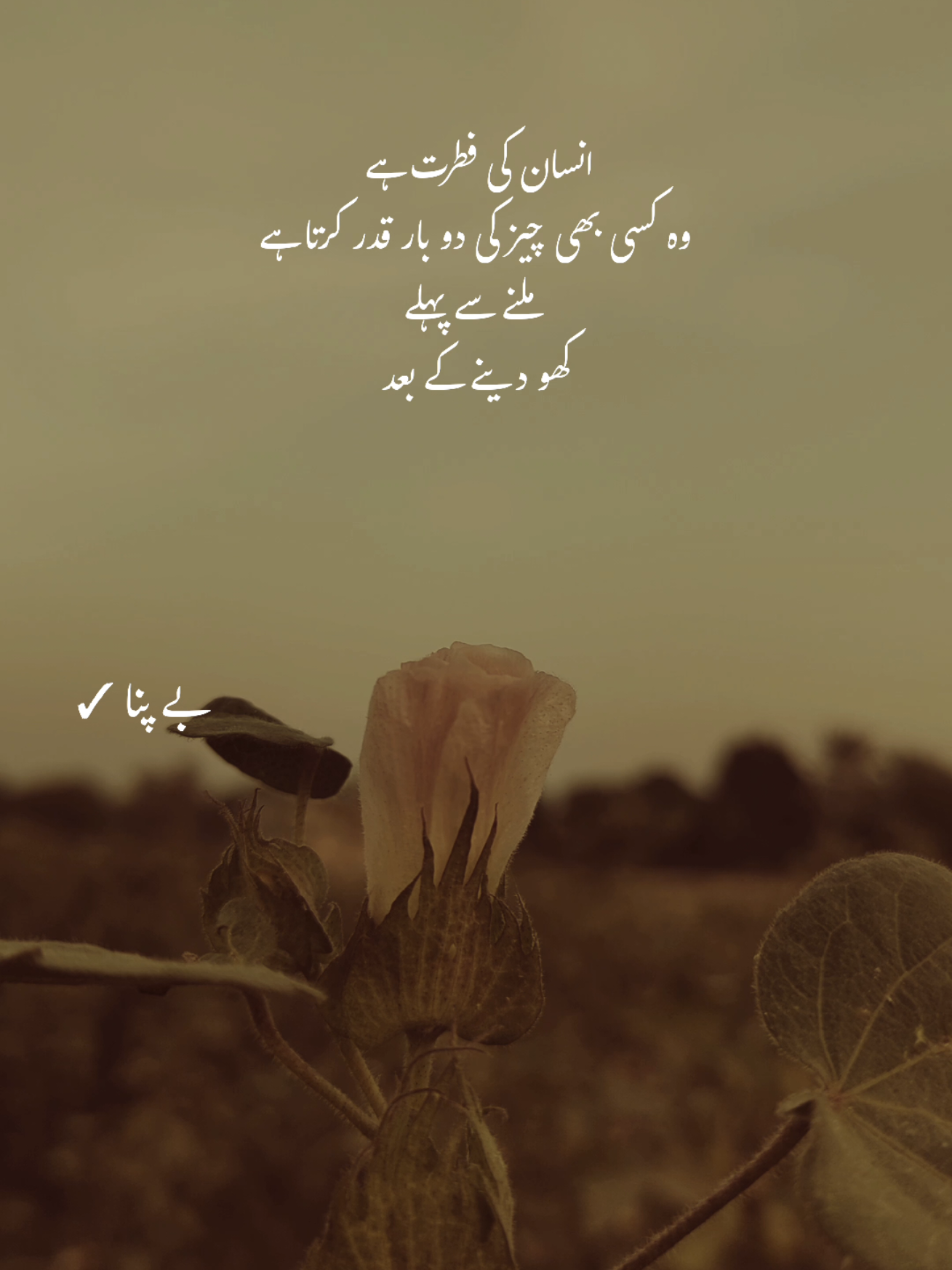 Deep words ❤️‍🩹 #1millionaudition #asthetic #poetrystatus #foryou #fypp 