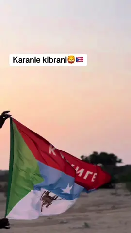 Kibirjabshe🇵🇷🦁#murusadenimo🐎🇵🇷 #fypviralシviral #viewsxumo💔 #foryoupage #viewsproblem😭 