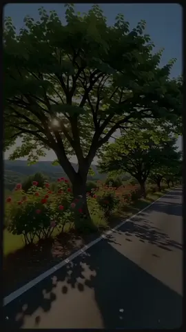 تلاوة بصوت عبد الباسط عبد الصمد #عبدالباسط_عبدالصمد #قران_كريم #ارح_سمعك_بالقران #اكسبلور #CapCut 