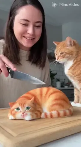 ele se revoltou! #videosviral #videosvirales #viralvideo #funnyvideos #funny 