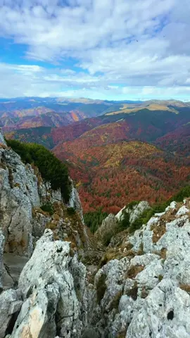 Peste culorile toamnei, zboară liniștea 🍁🏔️ • • • #romania #travel #toamna #autumn #mountain 
