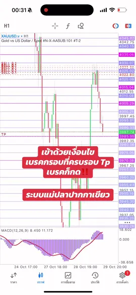 รอตามเงื่อนไขระบบ #แม่ปลาปากกาเขียว🖊 #forex #xauusd #สอนเทรดทอง #เทรนวันนี้ 