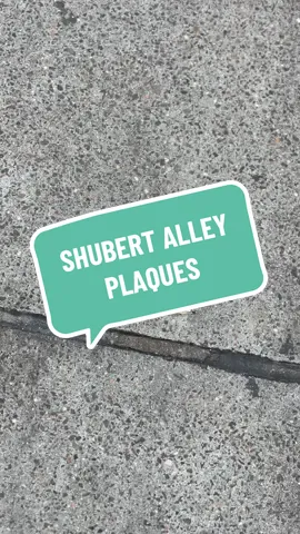 Barricades in Shubert Alley…but not the ones you might think! Check out these new plaques in the sidewalk. #broadwayhistory #broadwayupclose #shubertalley #shubertalleyday 
