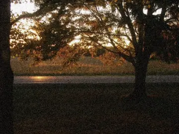 😇 #melaniemartinez #playdate #песня #рекомендации #fyp 