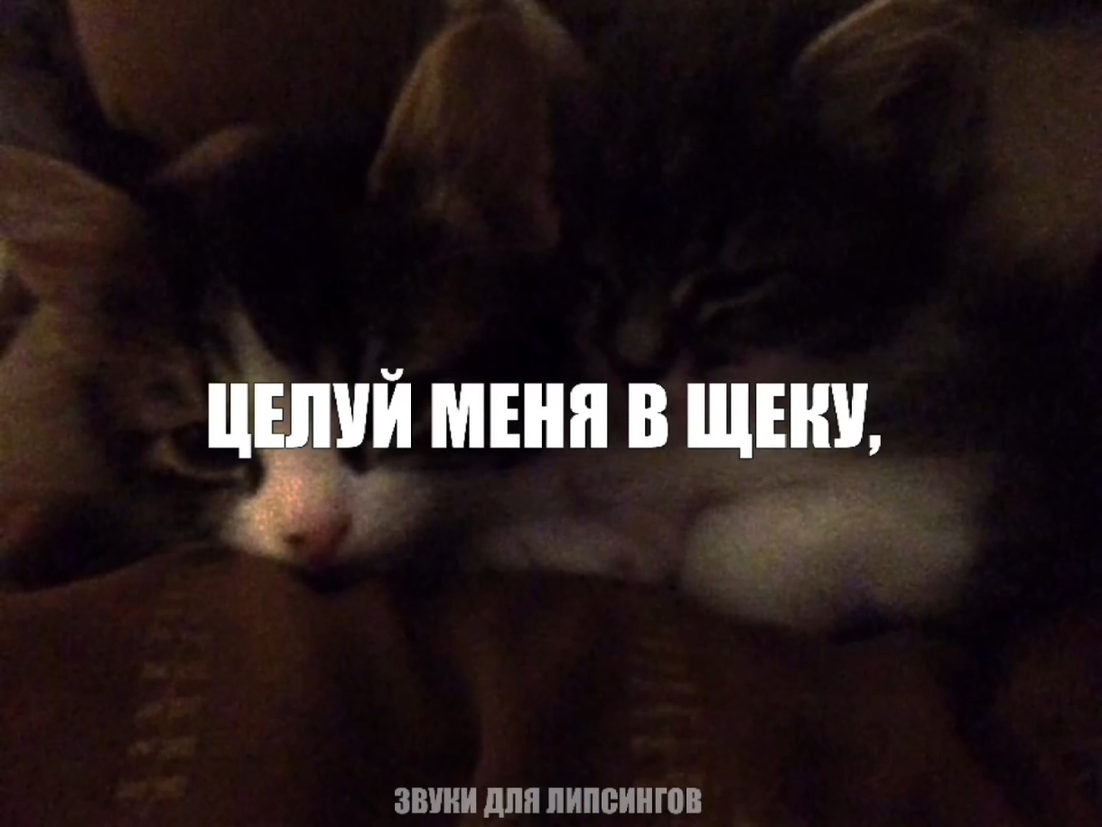 — но тупо.. // все треки уже в тгк: навеиваю музыку #музыкарокайфу#глобальныерекомендации#песня#песни 