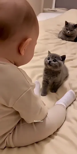 The baby and the kitten best friends from the start 🐱👶#cute #baby #funny #fyp 
