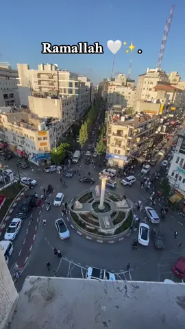 #sosoaboziad #جنين_نابلس_طولكرم_رام_الله_فلسطين #رامالله_نابلس_الاردن_عمان_اربد_القدس #explore 