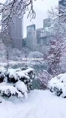 #viralvideos #christmas #christmas2025 #xmas 