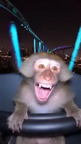 😂😂 . #park #soraai #sora #monkey #monkeyvideo 