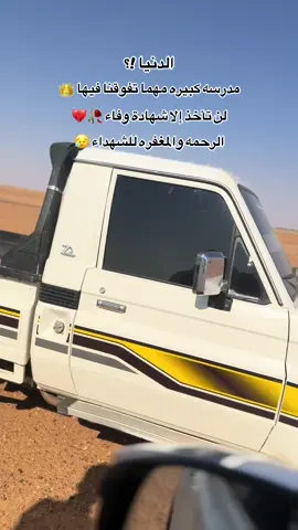 ##ودالملوك ##حفيدالكبابيش ##