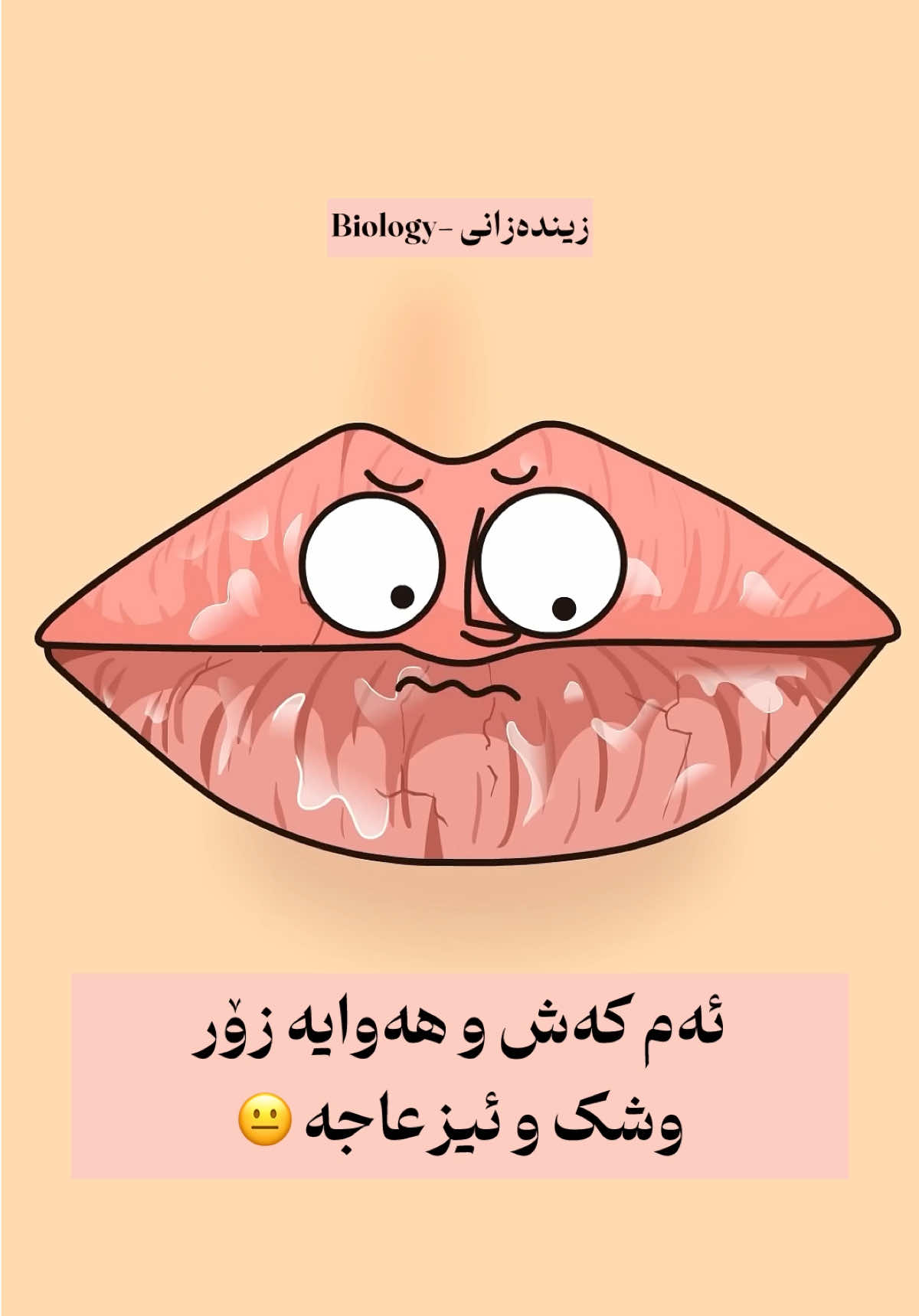 وشکبوونەوەی لێو حاڵەتێکی زۆر باوی وەرزی پایزە 🥹 هیوادارم بە زمانتان تەڕی نەکەن بۆ ئەوەی خراپتری نەکەن ☺️ #زیندەزانی  #زیندەزانی12  #school  #پۆلی_12  #biologist 