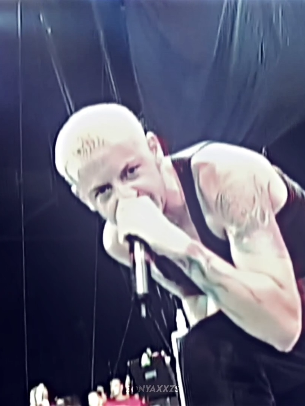 points of authority #fyp #linkinpark #mikeshinoda #numetal #recommendations 