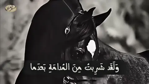 معلقة عنترة بن شداد كاملة #عنترة_ابن_شداد_العبسي🥀 #المتنبي📚 #الادب_العربي #اقتباسات #فصحى 