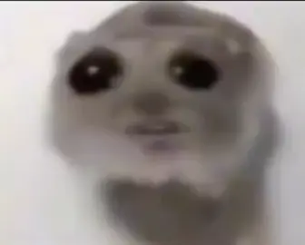 Day 2 . . . . #fyp #viral #memestiktok 