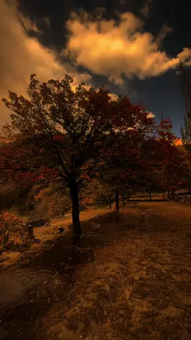 مسئلہ یہ نہیں کہ تم مل نہیں پاؤ گے مسئلہ یہ ہے کہ ہم تمہیں بھول نہیں پائیں گے♥️🥹