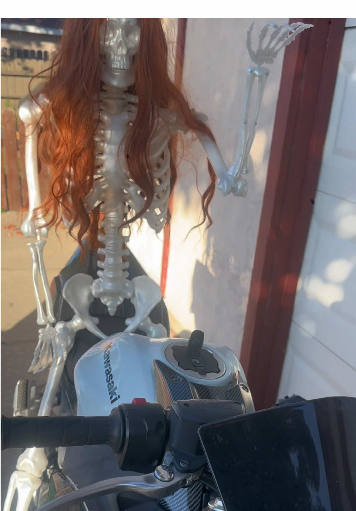 #CapCut #halloweenlook #jajajaja #voyenmicarro #onthisday 