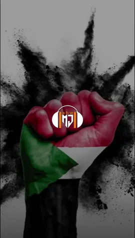 #CapCut #فاشر_السلطان #المصمم_زينو 