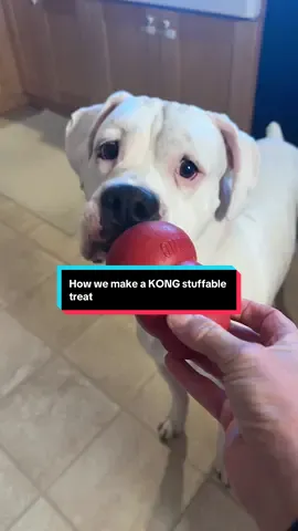 KONG stuffable dog toys are long lasting enrichment toys! We’ve had this one for over 5 years and it’s still going strong! A great investment for new puppies and super chewers! #dogtreats #dogenrichment  #newpuppy #tiktokshopblackfriday #tiktokshopcybermonday @Kong Dog 