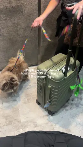 Our favorite game. We will see you all out there one day.