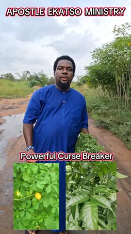 Do this Powerful direction to break any curse. Remember, the 31st October to 2nd November Mega  is program starting this week. Venue: Sokode Gborgame, Ho - Volta Region. #Apostleekatsoministry  #Effata  #AklasuMovement  #creatorinsights2025  #Spirituality 