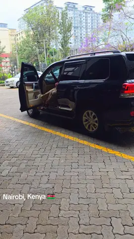 Senior Presidential Envoy on Special Programs, Hon. Adut Kiir, on Wednesday paid a visit to the Embassy of the Republic of South Sudan in Nairobi, Kenya. She was warmly received by the Deputy Ambassador and other diplomatic officials stationed at the mission. During the visit, Hon. Adut held a consultative meeting with the embassy officials to gain firsthand understanding of the situation facing South Sudanese citizens in Kenya, with particular attention to students. She was briefed on a range of pressing issues, including the arrest of South Sudan nationals, challenges related to scholarships, pupil passes, certificates of good conduct, as well as immigration difficulties encountered at both the border and airport. The envoy expressed her commitment to engage relevant authorities to find effective solutions to the concerns raised. She also encouraged youth engagement in productive activities during their stay in Kenya, emphasizing the importance of empowerment, unity, and positive representation of South Sudanese abroad.