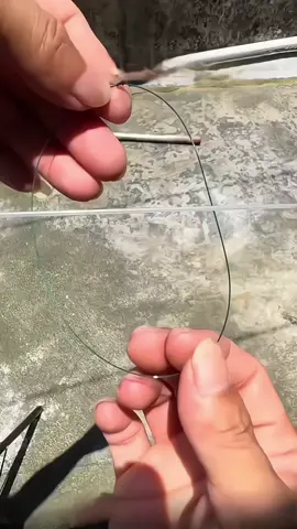 #fishing #dammecauca #caucagiaitri #meocauca #cauca 