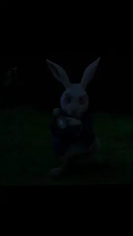 #fypシ゚viral #fyp Not all roads shall lead to Rome if you choose the right one 