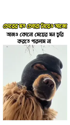 কথা কিন্তু সত্যি #viral #reels #instagram #trending #fypシ゚viral🖤tiktok 